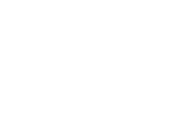 一种追求完善的态度